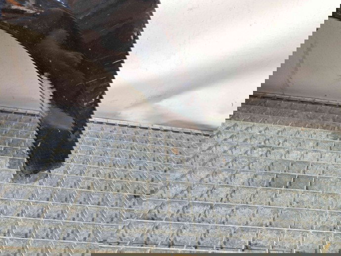 Aripa stanga fata Seat Ibiza 5 Sportcoupe (6J1) [Fabr 2008-2017] LZ9Y