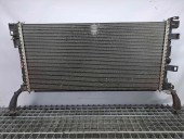 Radiator apa Renault Laguna 3 Coupe [Fabr 2008-2015] 214100004R / 214000003R   