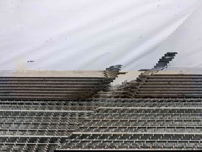 Radiator intercooler Renault Laguna 3 Coupe [Fabr 2008-2015] OEM   80KW / 109CP