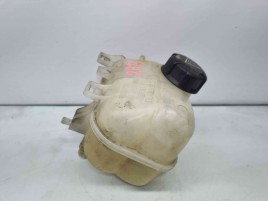 Vas expansiune MINI Cooper (R56) [Fabr 2006-2014] 7539267