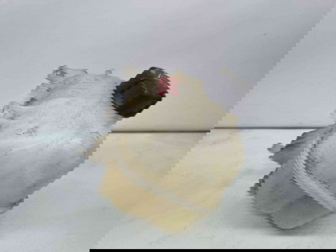 Vas expansiune MINI Cooper (R56) [Fabr 2006-2014] 7539267