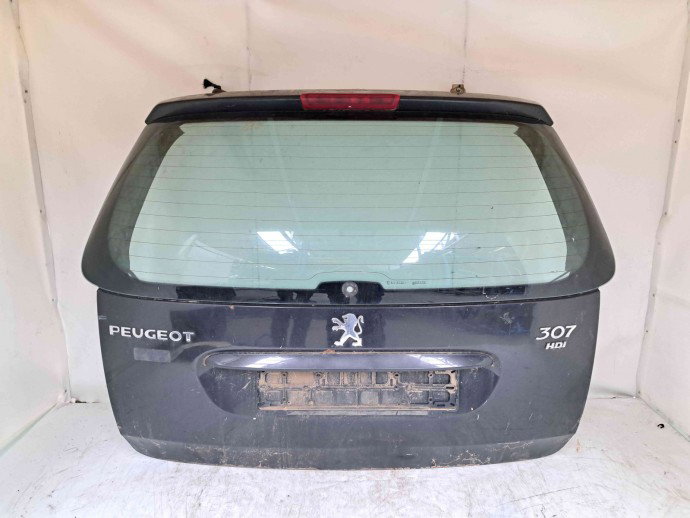 Haion Peugeot 307 [Fabr 2000-2008] OEM