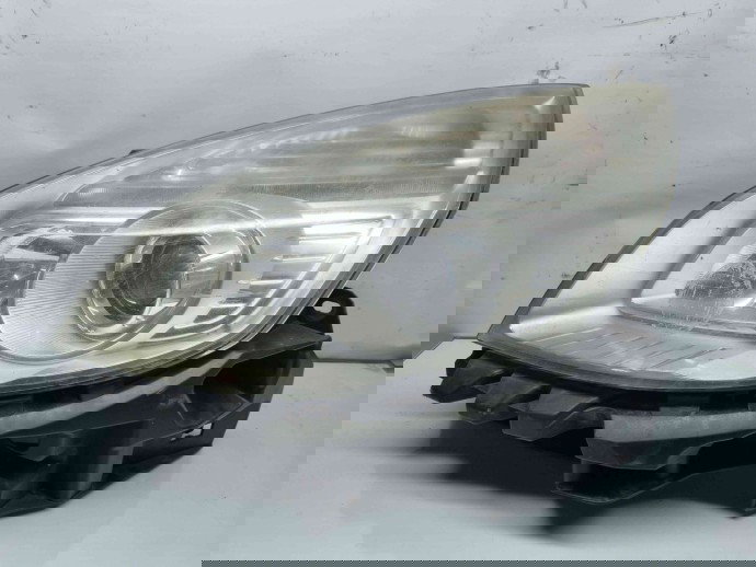  Far stanga Renault Grand Scenic 2 [Fabr 2003-2008] OEM