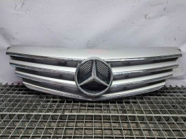 Grila bara fata Mercedes Clasa B (W245) [Fabr 2005-2011] A1698800783
