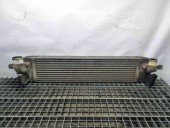 Radiator intercooler Renault Kaleos 1 [Fabr 2008-2015] P3578001   