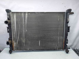 Radiator apa Renault Megane 2 Coupe-Cabriolet [Fabr 2002-2008] 8200115541    