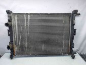 Radiator apa Renault Megane 2 Coupe-Cabriolet [Fabr 2002-2008] 8200115541    