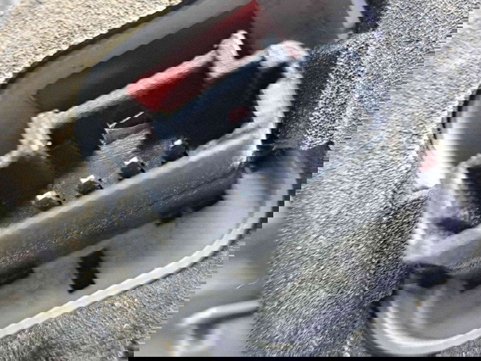  Stop aripa dreapta Citroen C4 (I) Picasso [ Fabr 2006-2013] OEM