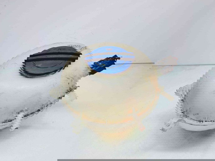 Vas expansiune Volkswagen Transporter 5 (7HB, 7HJ) [Fabr 2004-2013] 7H0121407C