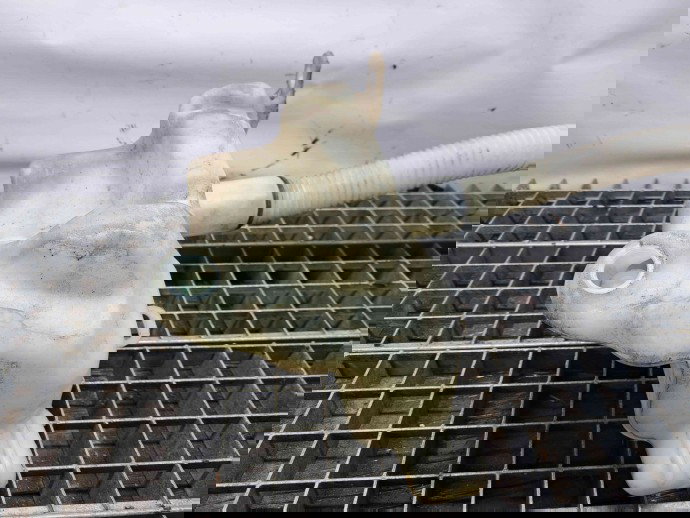  Vas lichid parbriz Citroen C4 (I) Picasso [ Fabr 2006-2013] 9671568380