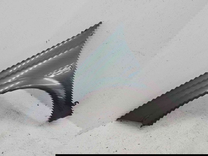 Aripa stanga fata Renault Megane 2 Coupe-Cabriolet [Fabr 2002-2008] TE266