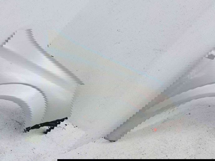 Aripa dreapta fata LAND ROVER Freelander (LN) [Fabr 1998-2006] Zambezi Silver