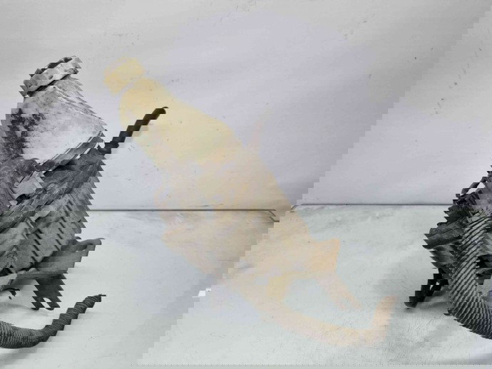 Pompa servodirectie Opel Astra H [Fabr 2004-2009] 13188613 Z17DTH  