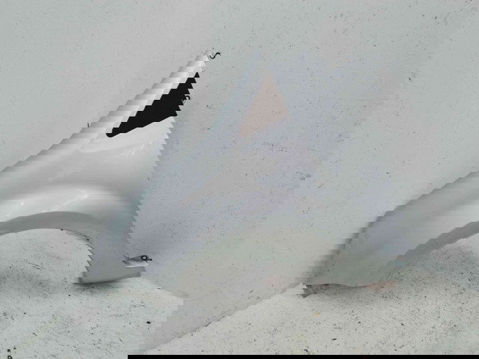 Aripa stanga fata Renault Modus [Fabr 2004-2012] TED69