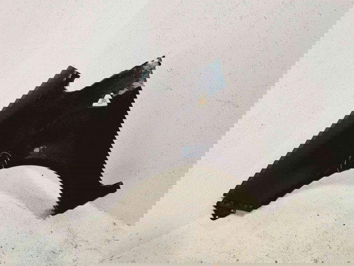 Aripa stanga fata MITSUBISHI Colt [Fabr 2002-2013] CVM