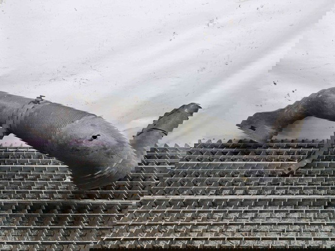 Tub admisie aer Mercedes Clasa C (W203) [Fabr 1993-2000] A6460900082 2.2 CDI 2.2 CDI 80KW / 109CP