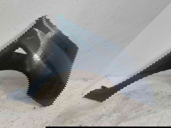 Aripa dreapta fata Renault Espace 4 [Fabr 2002-2014] NV676