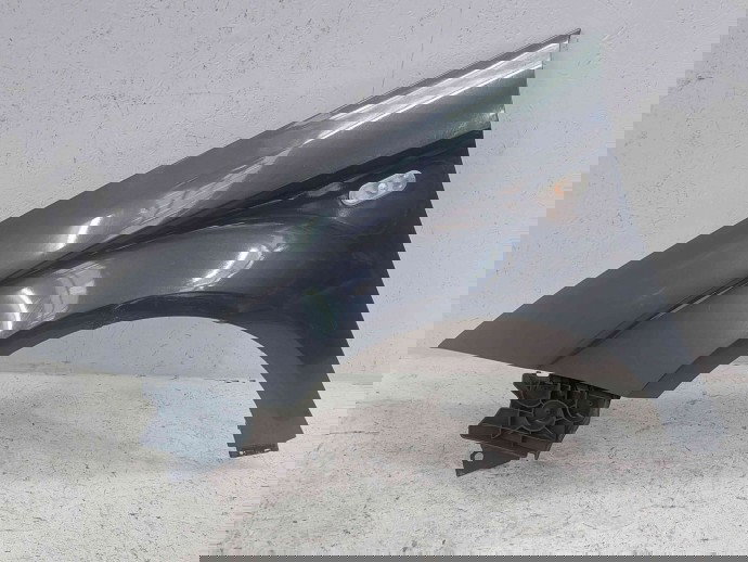 Aripa stanga fata Seat Toledo 3 (5P2) [Fabr 2004-2011] LS9N