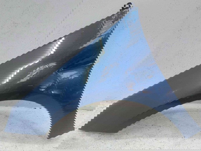 Aripa stanga fata Mercedes Clasa B (W245) [Fabr 2005-2011] Nevalid Albastru los