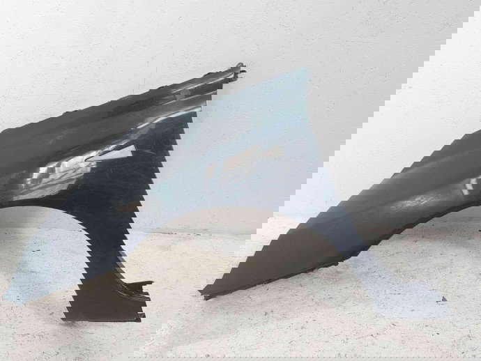 Aripa stanga fata Renault Espace 4 [Fabr 2002-2014] NV676