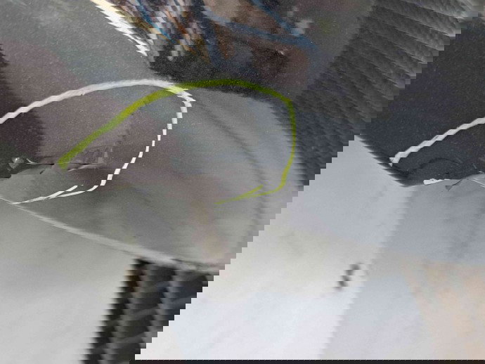 Capota Seat Ibiza 5 Sportcoupe (6J1) [Fabr 2008-2017] LZ9Y