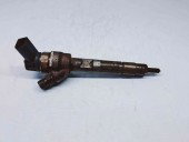 Injector Bmw 5 (F10) [Fabr 2011-2016] 7810702 2.0 N47 135KW / 184CP 2.0 N47 135KW / 184CP