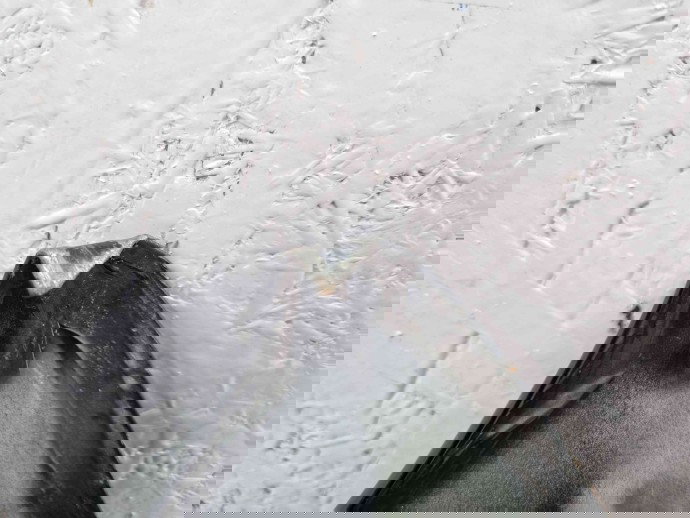 Capota Kia Proceed [Fabr 2006-2012] OEM