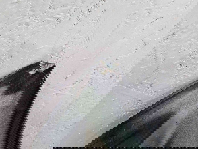 Capota Kia Proceed [Fabr 2006-2012] OEM