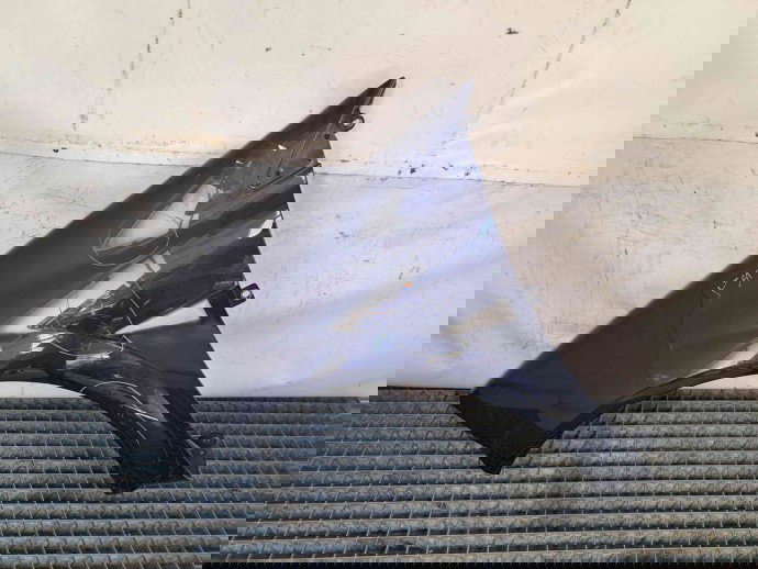 Aripa stanga fata Renault Megane 2 [Fabr 2002-2008] TEF43