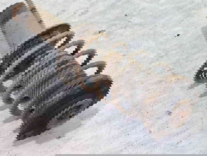 Amortizor stanga fata Skoda Octavia 2 Combi (1Z5) [Fabr 2004-2013] OEM