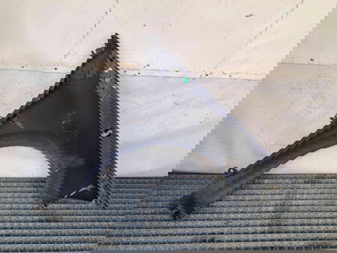 Aripa stanga fata Renault Megane 2 [Fabr 2002-2008] TEF43