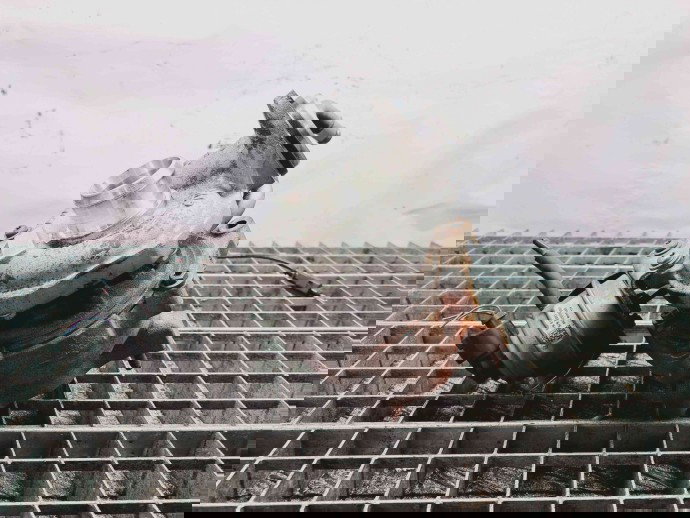 Turbina Audi A6 (4G5, C7) Avant [Fabr 2011-2017] 03L145721B 2.0 TDI CGLC 130KW / 177CP  