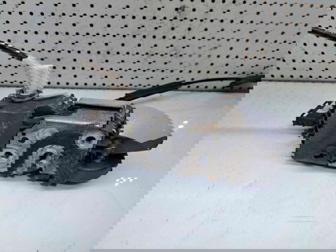 Broasca usa stanga fata Citroen C5 (III) [Fabr 2008-2017] OEM