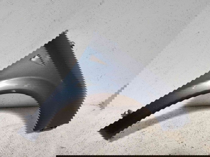 Aripa dreapta fata Renault Grand Scenic 2 [Fabr 2003-2008] TEB66