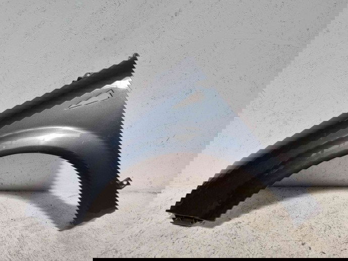 Aripa stanga fata Renault Grand Scenic 2 [Fabr 2003-2008] TEB66