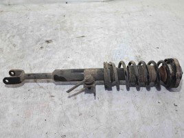 Amortizor stanga fata Bmw 5 (F10) [Fabr 2011-2016] OEM 2.0 N47T