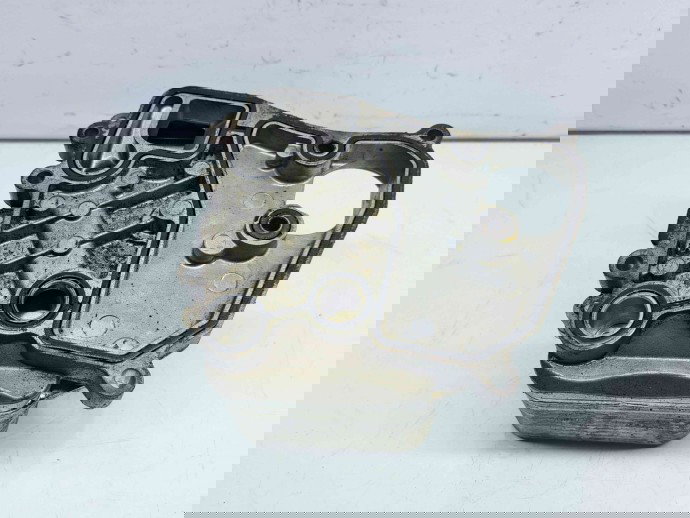 Termoflot Audi A7 Sportback (4GA) [Fabr 2011-2017] 059117021R 3.0 TDI CDUD  