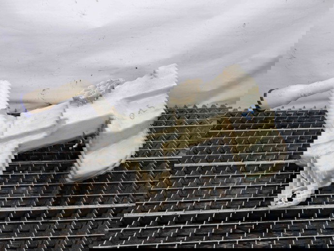  Vas lichid parbriz Citroen C5 (III) [Fabr 2008-2017] 9683486480