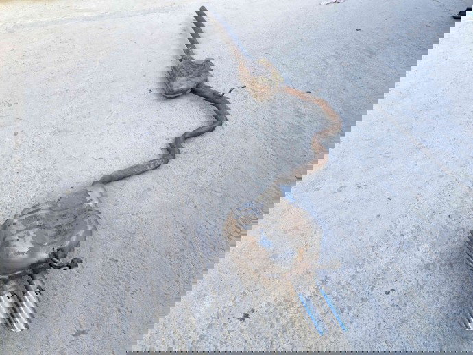 Toba esapament Skoda Superb II (3T4) [Fabr 2008-2015] OEM 2.0 TDI BMP  