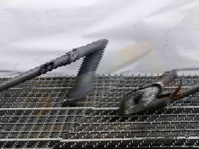 Tub intercooler Citroen C4 (I) Picasso [ Fabr 2006-2013] 9680995580 2.0 RHJ 2.0 RHJ 100KW / 136CP