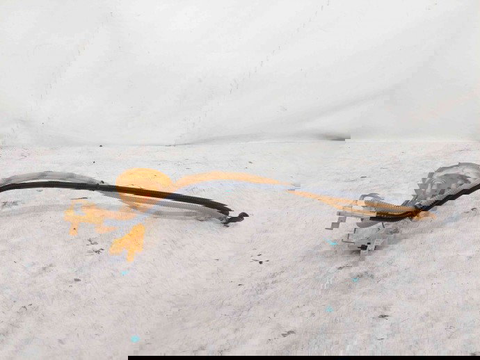 Sonda litrometrica Bmw 1 (E81, E87) [Fabr 2004-2010] 7190944 / A2C53216247 2.0 N47 