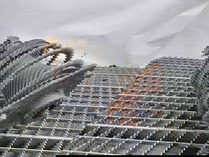 Amortizor dreapta fata Hyundai ix35 (LM) [Fabr 2010-2017] 54660-2Y610 1.7 D4FD  