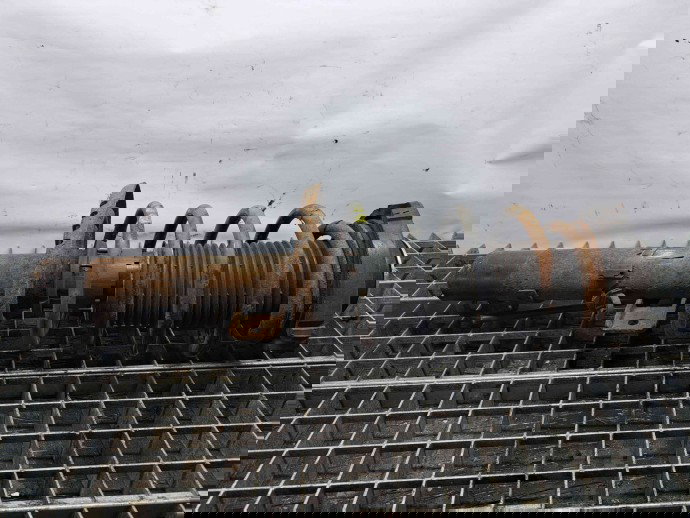 Amortizor stanga fata Skoda Roomster (5) [Fabr 2006-2015] OEM 1.4 TDI BNV 1.4 TDI BNV 59KW / 80CP