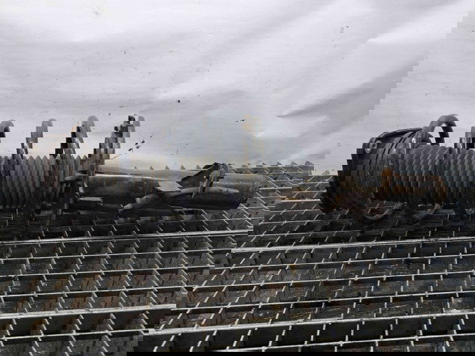 Amortizor stanga fata Ford Focus 3 Facelift [Fabr 2014-2019] OEM 1.0 C10FD0X 1.0 C10FD0X 88KW / 120CP