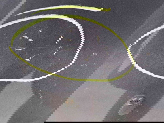 Capota Ford Fiesta 6 [Fabr 2008-2019] SEA GREY METALLIC