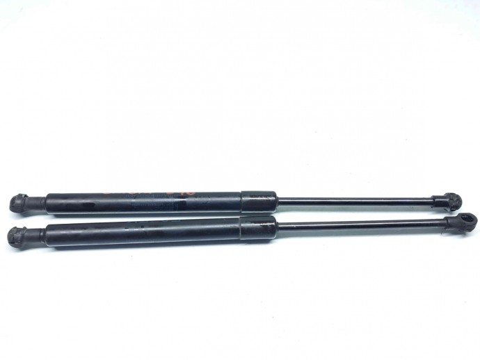 Set amortizor capota Bmw 1 (E81, E87) [Fabr 2004-2010] 7118370