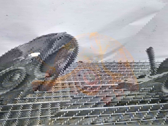 Fuzeta fata dreapta Hyundai ix35 (LM) [Fabr 2010-2017] OEM 1.7 D4FD  