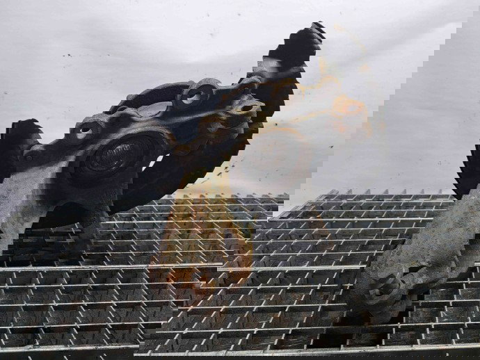 Fuzeta fata stanga Ford Focus 3 Facelift [Fabr 2014-2019] OEM 1.0 C10FD0X 1.0 C10FD0X 88KW / 120CP