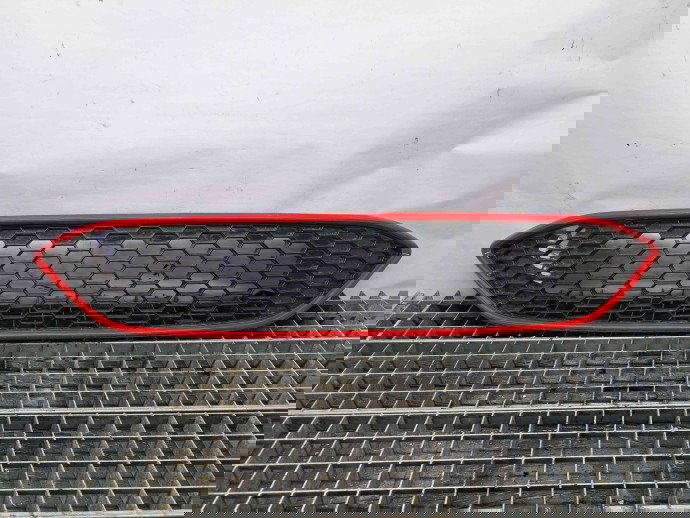 Grila bara fata Ford Focus 3 Facelift [Fabr 2014-2019] OEM