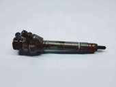 Injector Bmw 3 (F30) [Fabr 2012-2017] 7810702 | 0445110478 2.0 N47 120KW / 163CP  
